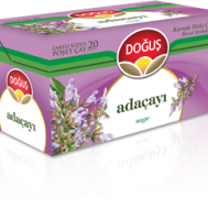 DOĞUŞ ADAÇAYI