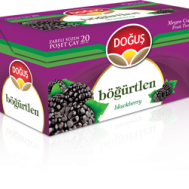 DOĞUŞ BÖĞÜRTLEN